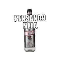 Drink Vodka Sticker by Pitú