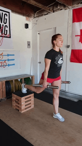 megsquats giphyupload GIF