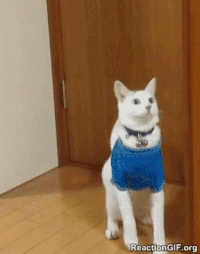 email GIF