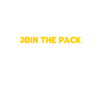 NoodlePack  Sticker