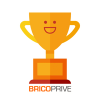 Bricoprive coupe bricolage bricoprive bricocoupe Sticker
