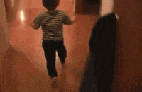 Video gif. A toddler is running and then turns around and purposely slides down the steps. 
