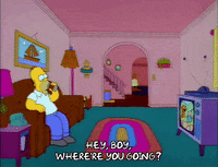 homer simpson drinking GIF