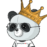 Happy Good Morning Sticker by PandaPals