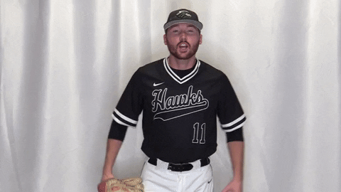 Collegebaseball Ncaadii GIF by RiverHawk Sports