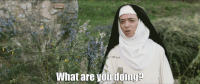 aubrey plaza what GIF by The Little Hours Movie