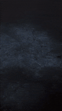 Sololeveling GIF by Youtooz