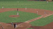 history base GIF