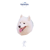 몽몽 Sticker by AptaclubKR