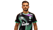 Esports Fabio Sticker by SV Werder Bremen