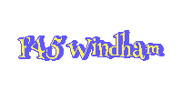 F45-Windham f45 windham Sticker