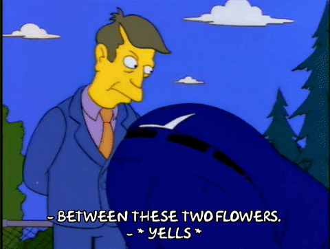 Season 4 Episode 20 GIF by The Simpsons