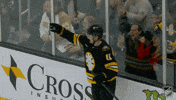 Happy Boston Bruins GIF by NHL