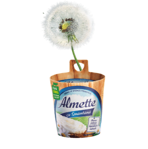 AlmetteRO giphyupload instagram nature natural Sticker