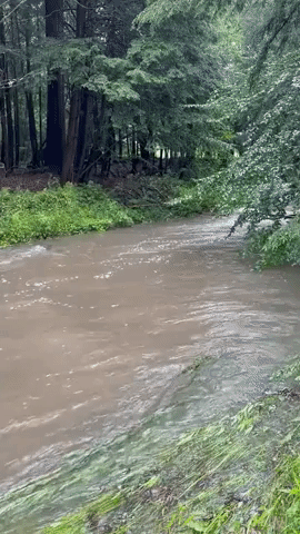 Creek Swells as Heavy Rainfall Hits Vermont