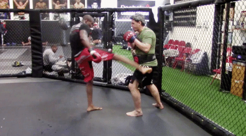 the ultimate fighter ufc GIF