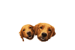 PupperoniTreats happy dog yes excited Sticker
