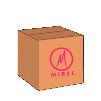 Envios Cajas Sticker by Boutiquemirelmx