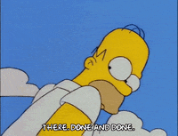 homer simpson episode 21 GIF