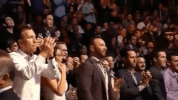 ufc 205 GIF