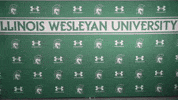 Tgoe Iwutitans GIF by iwusports