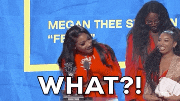 Megan Thee Stallion What GIF by BET Hip Hop Awards