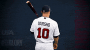 Pro GIF by USA Baseball