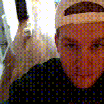 dog GIF