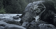 GIF by Century Media Records