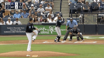 Talkin Yanks GIF by Jomboy Media