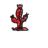 mardesalta cactus planta desierto marielvera Sticker