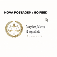 seganfredoadvogada feed adv gms gmsadv GIF