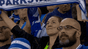 Happy Football GIF by FC Schalke 04