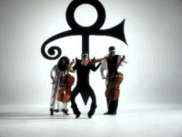 face down prince GIF
