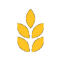 kelloggskorea cereal wheat kelloggs kellogg Sticker