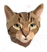 Cat Adopt Sticker by Watertown Humane Society