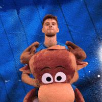 Sport Bundesliga GIF by TSG Hoffenheim