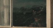 No Glory In The West GIF by Orville Peck