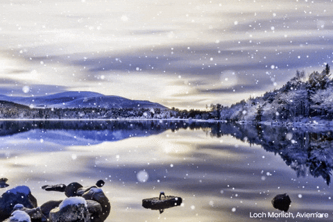 Merry Christmas GIF by University of the Highlands and Islands