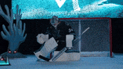 Shut Out San Jose GIF by San Jose Barracuda