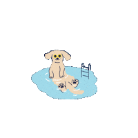 Dog Summer Sticker by MEININGER Hotels