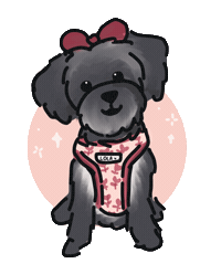 Kitten Teddy Sticker