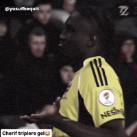 Fenerbahce GIF