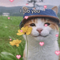 I Love You Hearts GIF by Respective