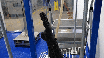 Hero Arm GIF by Open Bionics