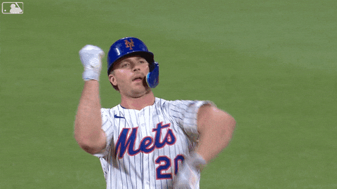 Pete Alonso Baseball GIF by New York Mets