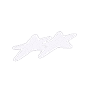 Stars Collab Sticker by Focus Church