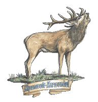 Mountain Wood Sticker by Alpenwelt Karwendel