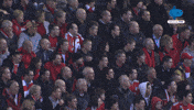 Celebration Yes GIF by MolaTV