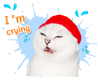 sad cat Sticker